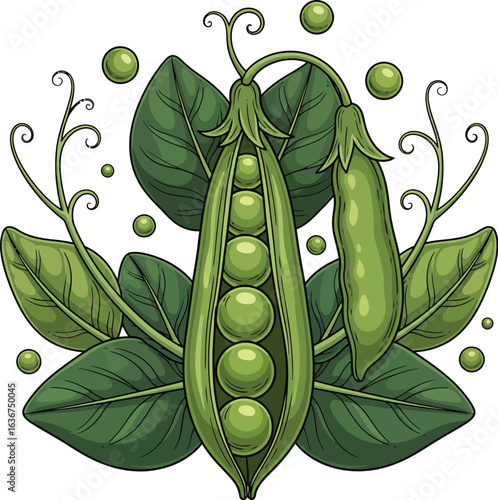 Fresh Green Peas - Vibrant Illustration of Pea Plant Pods