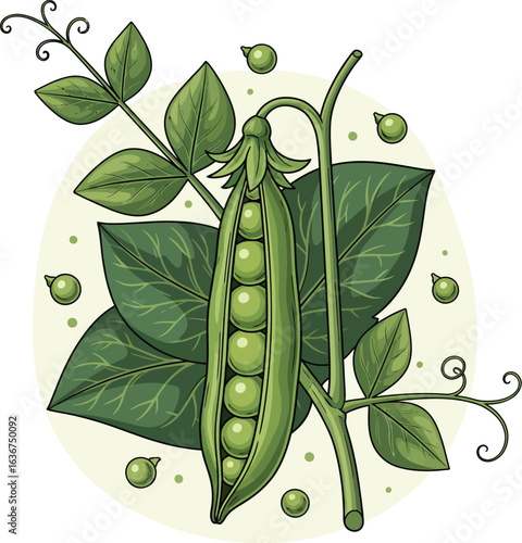 Fresh Green Peas - Vibrant Illustration of Pea Plant Pods