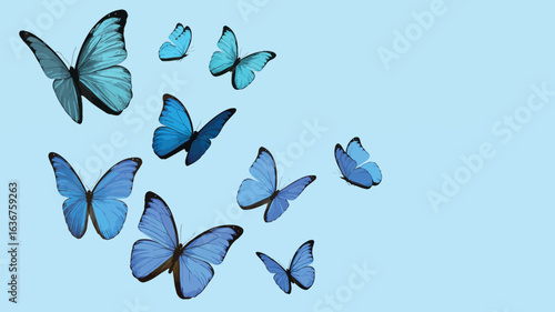 A Swarm of Blue Morpho Butterflies Fluttering Across a Light Blue Background butterfly blue butterfly