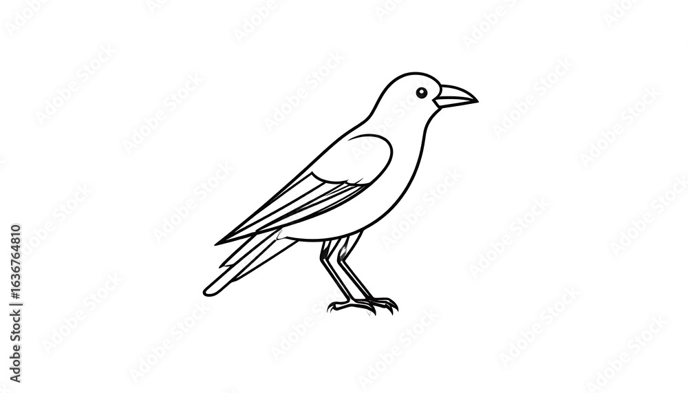 Obraz premium Simple black and white crow drawing