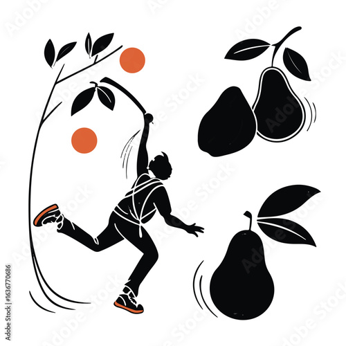 Silhouette of person picking fruit from a tree with pears