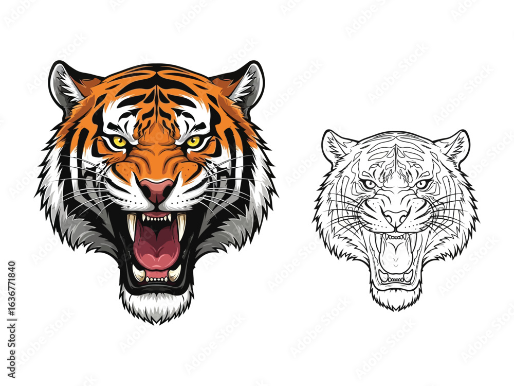 Fototapeta premium Roaring Tiger Portrait: A striking illustration of a roaring tiger's head, rendered with fierce detail and vibrant color, and paired with a clean line art version for artistic contrast.