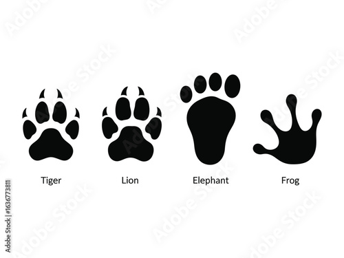 Animal Footprints: A stark black and white display of diverse animal footprints, clearly labeled, showcasing the unique imprints of different creatures.