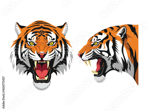 Tiger's Roar: An animated depiction of a tiger in full roar, showcasing its power and intensity, with two different angles.