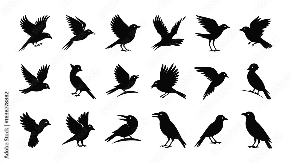 Fototapeta premium Collection of Black Bird Silhouettes in Various Poses on White Background flying perched