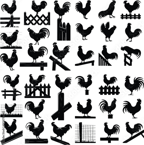 Rooster Crowing on Fence Silhouette – Rural Morning Icon Set Farm Rooster Silhouette on Fence – Sunrise Animal Icon