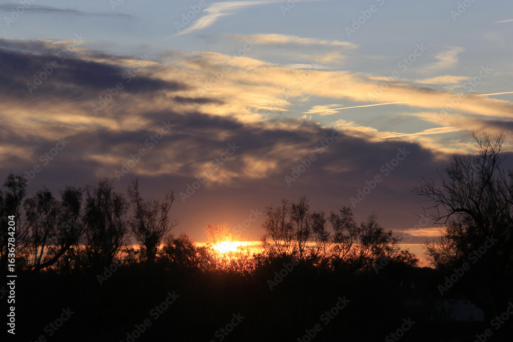 Fototapeta premium le soleil se lève t il ou se couche t il