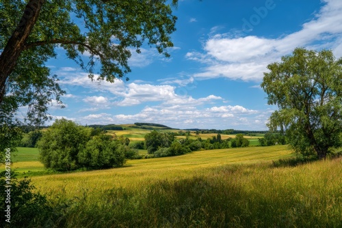 Landschaft im Sommer mit Bäumen und Wiesen bei strahlendem Sonnenschein