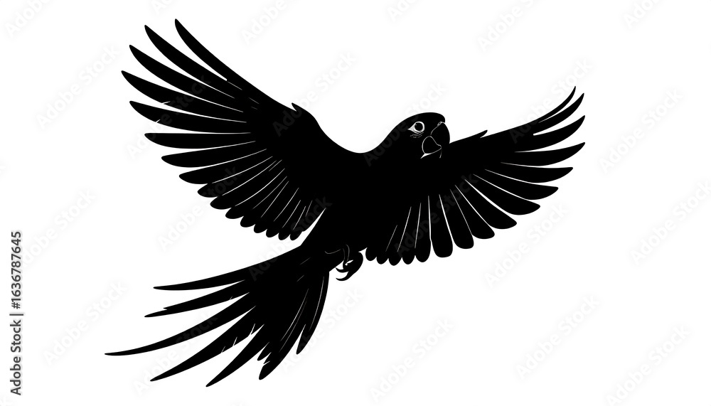 Obraz premium Black silhouette of a parrot in flight