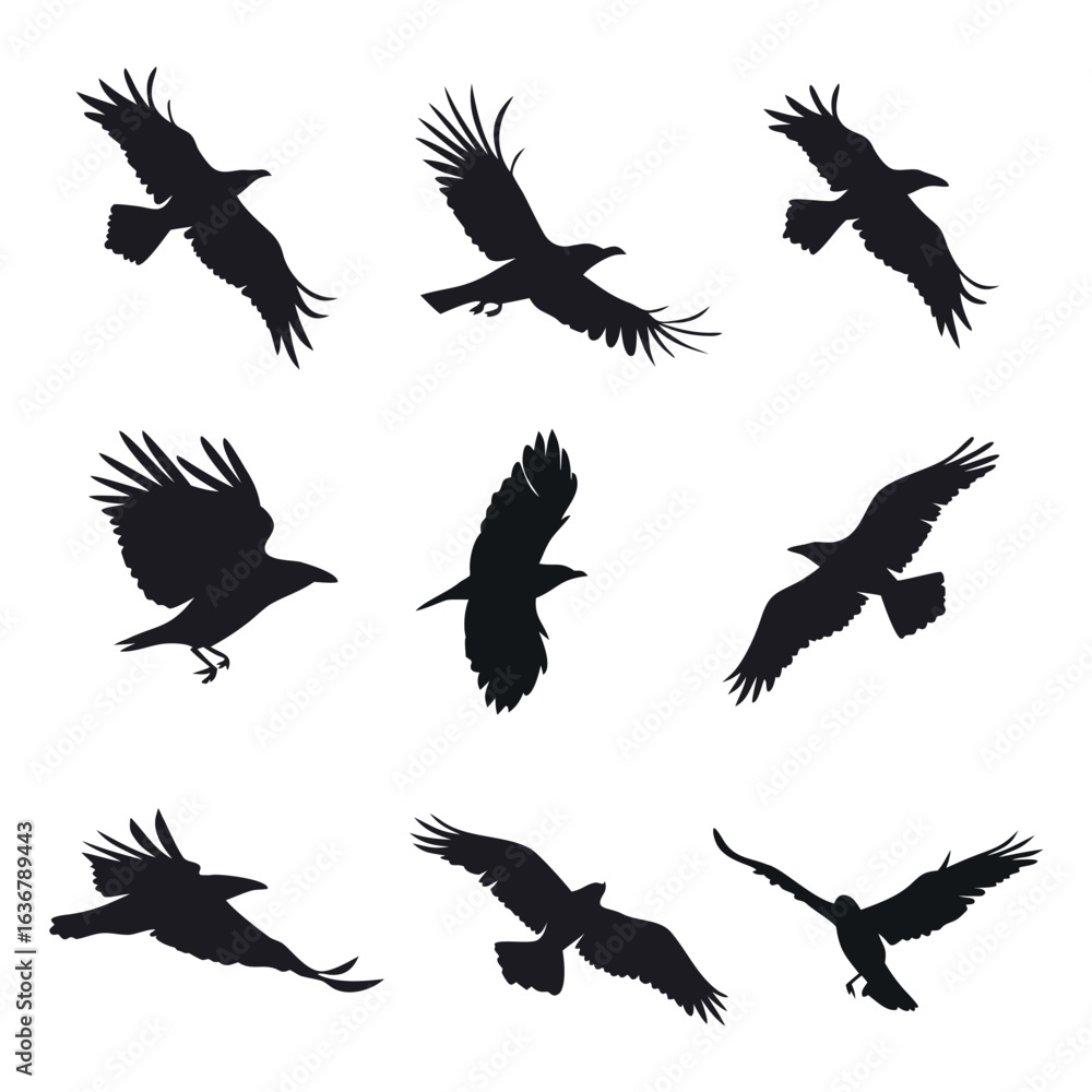 Obraz premium Crow Silhouettes in Varied Flight Movements