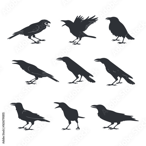 Diverse Crow Silhouettes in Unique Dynamic Poses