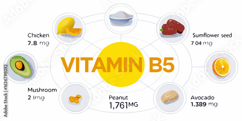 Vitamin b5 sources and content in foods