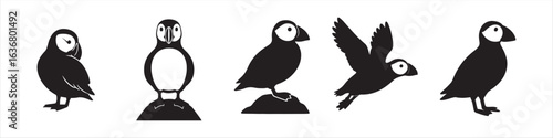 Minimalist Puffins Silhouette Vector Bundle

