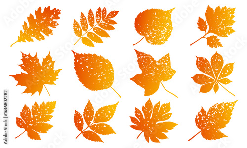 Set of orange autumn leaf silhouettes with textured grainy finish for seasonal decor, nature-inspired designs, and fall-themed graphic projects on transparent background
