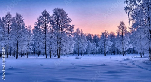 Snowy Forest Glade at Twilight