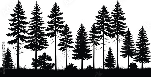 Forest Silhouette, Evergreen Trees, Pine Woodland, Nature Landscape, Black and White Art, Scenic View, Outdoor Environment, Tree Line, Stock Image