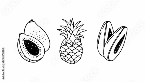Fresh tropical fruit illustrations: avocado, pineapple, and papaya ready for summer designs