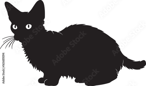 Fotografie LaPerm cat full image in silhouette image white background..
