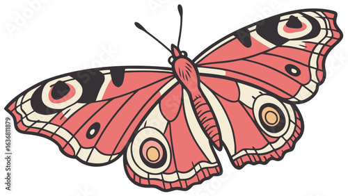 butterfly on white background