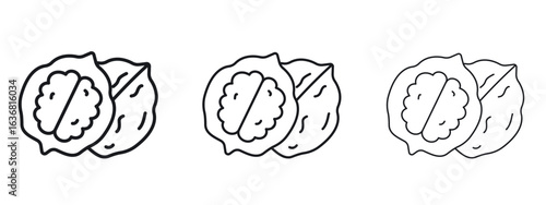 Walnut icon vector Logo Design Template. Editable Stroke graphics.