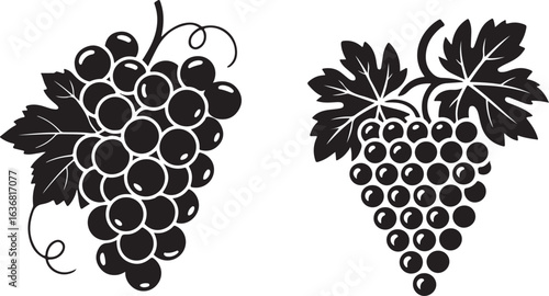 Set of two grape bunch silhouettes. Vector graphic icons of grapes on the vine with leaves for wine or food design.