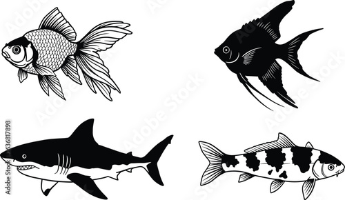 Fish vector illustration set, goldfish, angelfish, shark, koi, marine animals, aquatic life art, ocean wildlife drawing, freshwater fish design