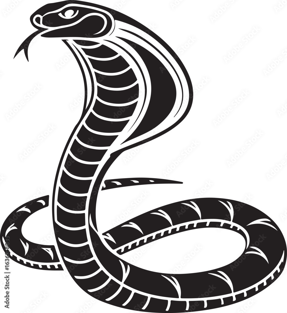 Fototapeta premium black and white snake