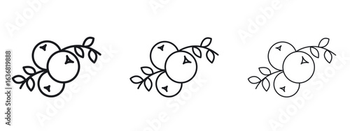 Juniper icon vector Logo Design Template. Editable Stroke graphics.