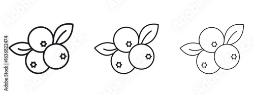 Blueberry icon vector Logo Design Template. Editable Stroke graphics.