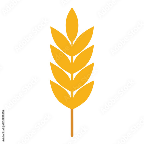 wheat ears isolated on white background