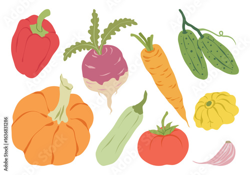 Vegetable set. Autumn harvest of vegetables. Healthy vegetarian organic food. Fresh pepper, tomato, beet, pumpkin, zucchini, cucumbers. Minimalist flat vector illustration collection of plant food.