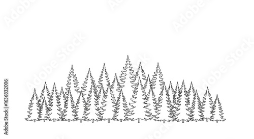 Hand drawn evergreen forest line art sketch black and white illustration