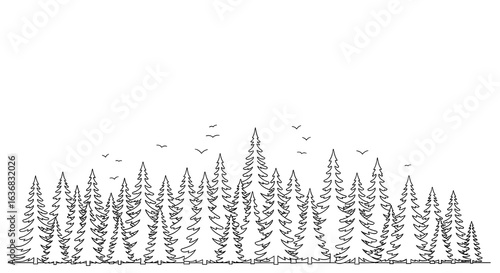 Coniferous Forest Outline Silhouette Minimalist Landscape Design Element