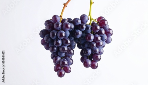 Wallpaper Mural Dense cluster of dark purple grapes hanging from vine, isolated on white background, emphasizing freshness and natural beauty. Torontodigital.ca