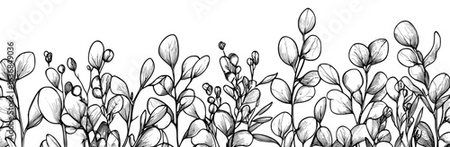 A set of modern green eucalyptus leaves on a white background provides decorative elements from nature for scrapbook and wedding card designs