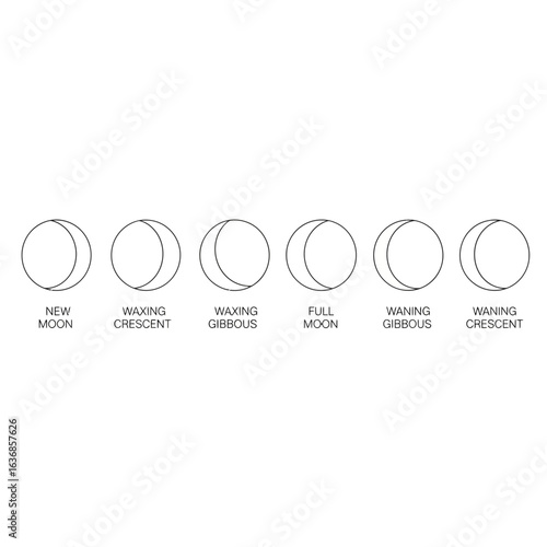 Phases of the moon astrological chart with new moon, waxing crescent, gibbous, full moon, and waning crescent in a modern celestial design