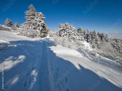 Wallpaper Mural Landscape of Vitosha Mountain, Bulgaria Torontodigital.ca