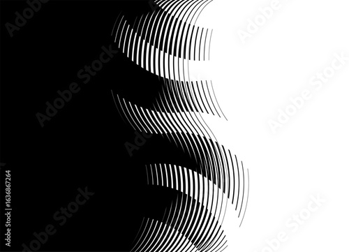 Vector Transition from black to white. Abstract wavy pattern of thin lines. Striped design element. Vector black and white background for covers, packaging, advertising, video