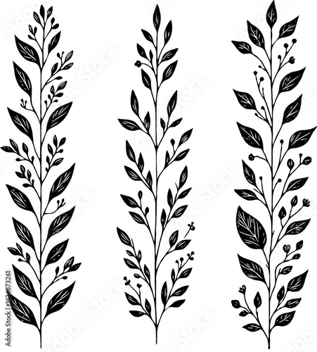 Set of silhouettes vine branches leaves. Grapes vineyard, grapevine black and white illustration. Wine labels design, Borders hand drawn decorative vines and berries botanical motifs. 