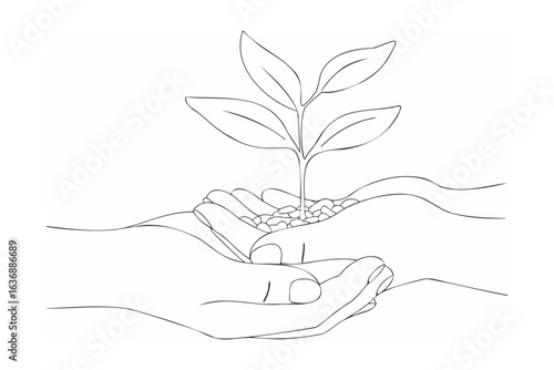 Cupped hands offering seedling plant growth