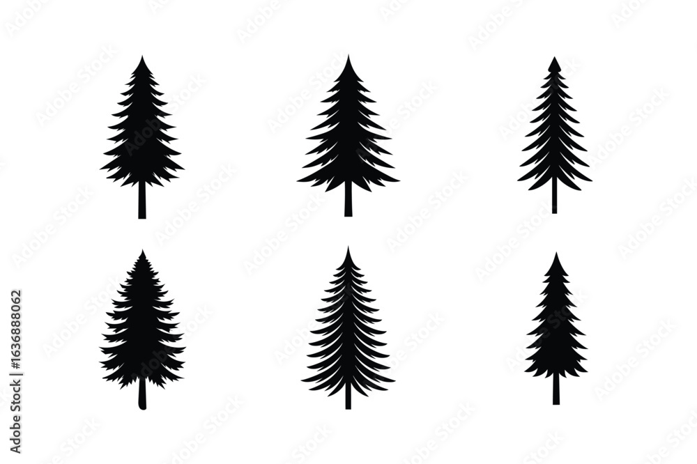 Obraz premium set of fern leaves tree vecor