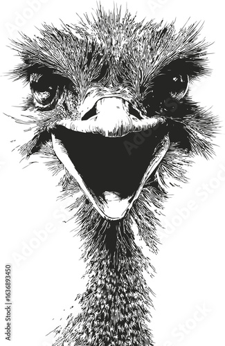 Close-up of an ostrich's expressive face in black and white sketch art. Vector illustration