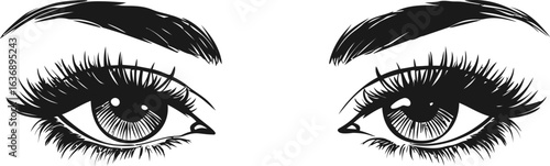 Detailed black and white of expressive female eyes. Vector illustration