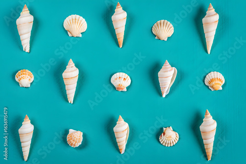 An organized collection of diverse seashells arranged in a symmetrical pattern on a bright turquoise blue background, a top-down flat lay view.