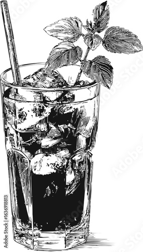Illustration of a mojito cocktail with mint leaves and ice cubes in a highball glass. Vector illustration