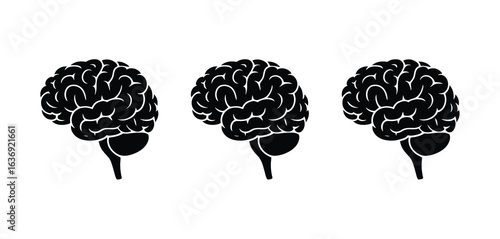 Three stylized black and white illustrations of human brains in profile