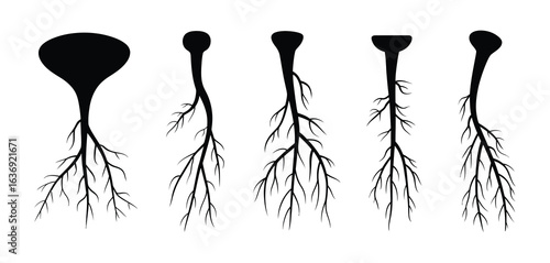Silhouette illustration of five different types of neurons