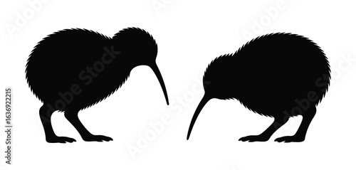 Two black kiwi bird silhouettes facing each other