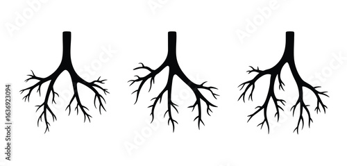 Three silhouettes of branching structures resembling lungs or tree roots