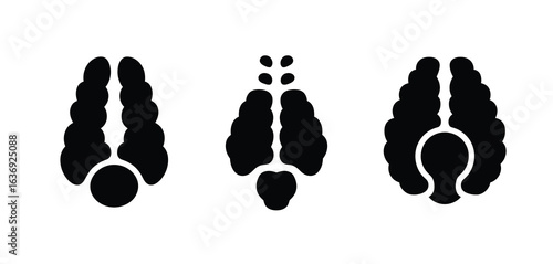 Three distinct black animal footprints on a white background